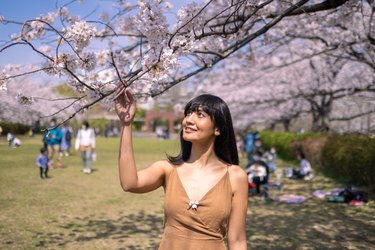 Maximize Your Tax Refund: Smart Ways to Spend or Save