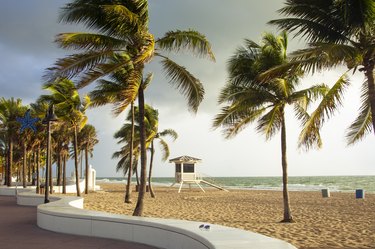 Florida Unemployment Benefits: COVID-19 Assistance & Resources