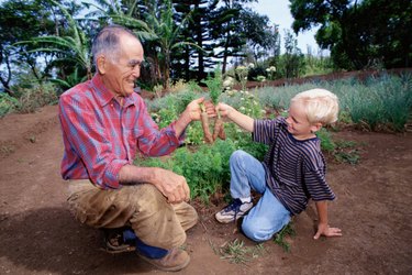 Financial Assistance for Grandparents Raising Grandchildren: Grants & Resources