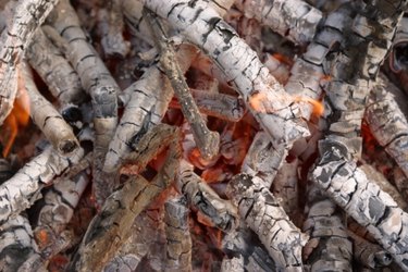 Natural Nitrogen Sources for Plants: Budget-Friendly Soil Amendments