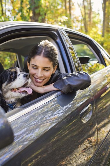 Affordable Pet Transportation: Cost-Effective Options