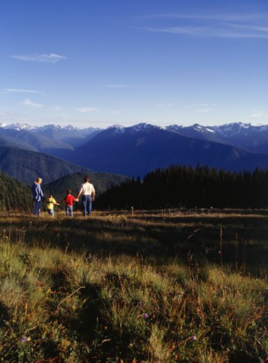 Arkansas TANF Program: Eligibility & Requirements