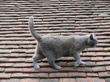 Affordable Roofing Options: Cost-Effective Solutions for Homeowners