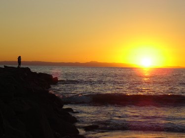 California Welfare Benefits: Eligibility & Duration in 2010