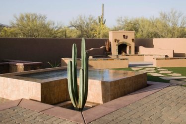 Desert Landscaping: Low-Cost & Sustainable Ideas