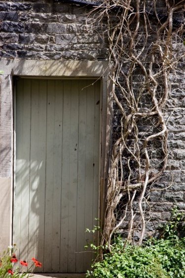 Cost-Effective Shed Alternatives: Build or Buy?