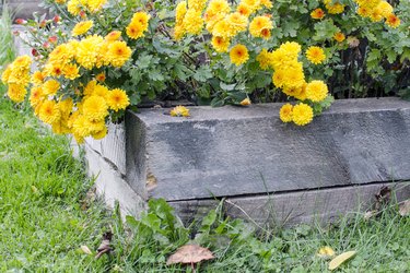 Affordable Landscape Edging Ideas: Enhance Your Garden on a Budget