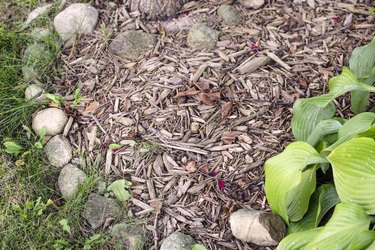 Affordable Landscape Edging Ideas: Enhance Your Garden on a Budget