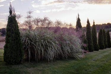 Affordable Landscape Edging Ideas: Enhance Your Garden on a Budget