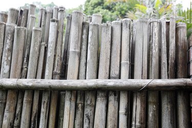 Affordable Fencing Options: Cost-Effective Alternatives to Traditional Wood