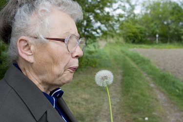 Government Grants & Assistance for Senior Homeowners | [Year]