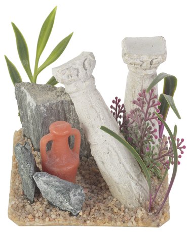 Affordable Fish Tank Decorations: Create a Beautiful Aquarium on a Budget