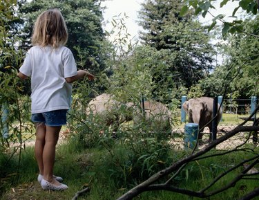 Budget-Friendly Birthday Party Venues: Affordable Celebration Ideas