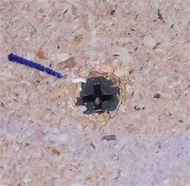 DIY Bathroom Floor Repair: Affordable Step-by-Step Guide