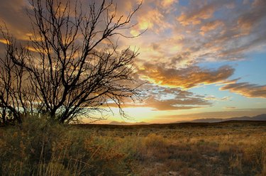 Claiming Abandoned Land in New Mexico: A Comprehensive Guide