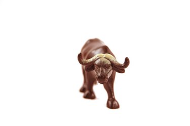 Understanding Bull Runs: What They Are and What Drives Them