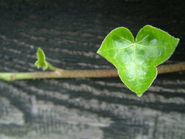 Benefits of Stock Market Listing: Fueling Growth & Capital