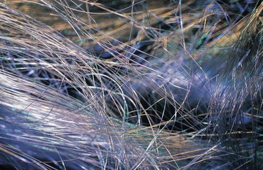 Sell Scrap Iron for Cash: A Step-by-Step Guide