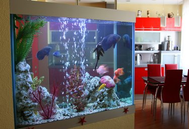 Vinegar in Fish Aquariums: Safe Uses & pH Adjustment