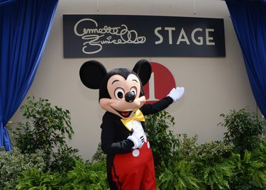 Disney Stock History: Performance, Dividends & Milestones