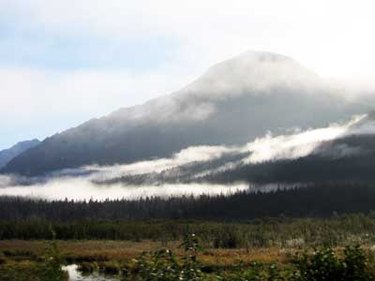 Alaska Permanent Fund Dividend: Eligibility & How to Receive Your Check