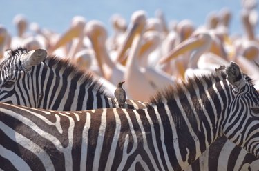 Optimal Indoor Temperature: New Research Reveals Ideal Comfort Levels