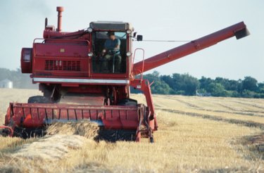 Rent Farmland: A Comprehensive Guide to Finding Agricultural Land for Lease