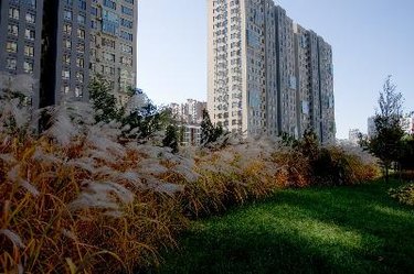 Real Estate Property Management License Requirements: Do You Need One?