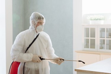 California Landlord Pest Control Responsibilities: What You Need to Know