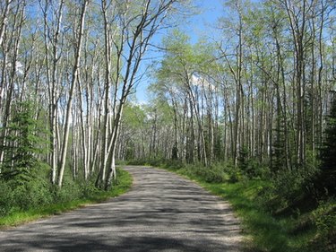 Contiguous Property Owners: Definition & Legal Implications