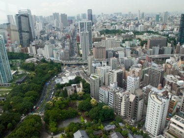 Understanding Section 8 Removal: Eligibility & Process