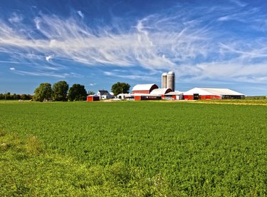 Lease Government Land for Farming: A Guide for Small Farmers
