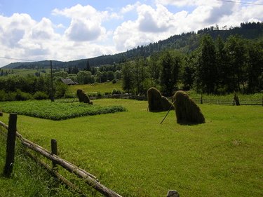 Land Leasing: A Comprehensive Guide to Finding Rental Properties