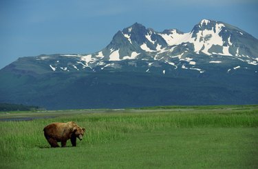 Alaska Land for Sale: Buying Property in the Last Frontier