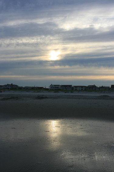 Nevada Timeshare Agent Licensing Requirements & Renewal