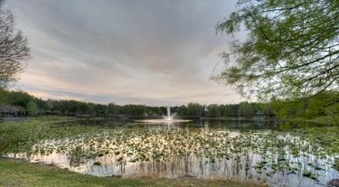 Best Places to Live Near Orlando, FL: Find Your Perfect Community