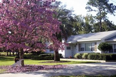 Best Places to Live Near Orlando, FL: Find Your Perfect Community