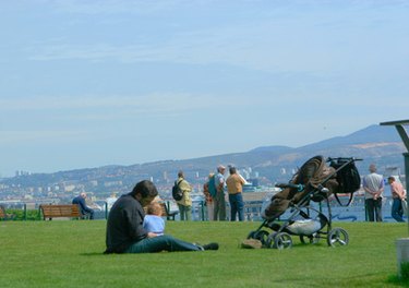 California Eviction Appeal: A Guide to the Process