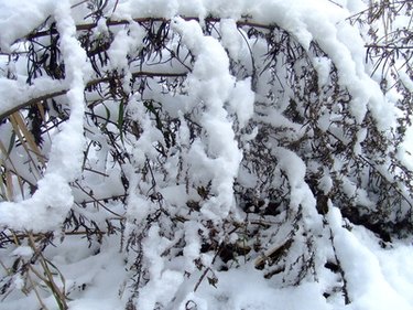 Condominium Association Management: A Comprehensive Guide