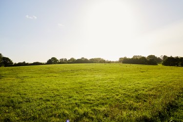 Buying Government Land: A Comprehensive Guide