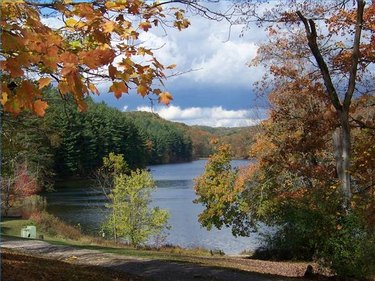 Building on Rural Land: A Comprehensive Guide for Homeowners