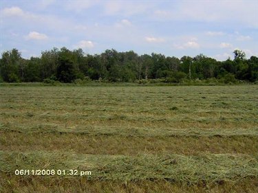 Understanding Land Loans: Recreational vs. Farm & Income Properties