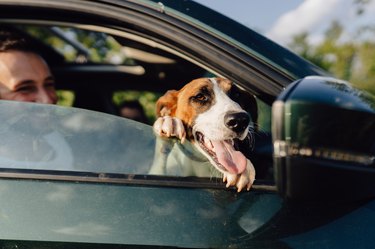 Self-Driving Cars: The Unexpected Benefit for Road Safety