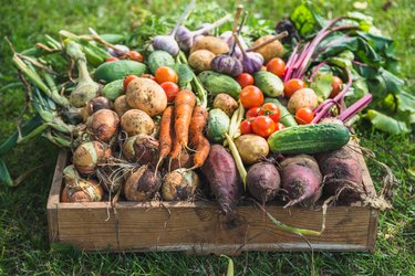 The Science Behind Why Local Produce Excels in Taste