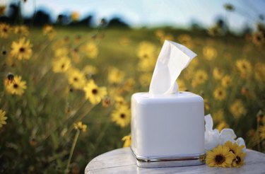 Understanding Increased Allergy Severity This Year: Climate Change & What to Do