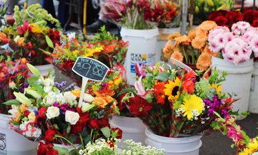 The Unexpected Benefits of Flowers: A Harvard Study Reveals All
