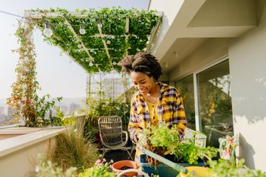 Essential Apartment Features Revealed by the Pandemic