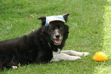 Specialty Insurance: Understanding Unique Coverage Options