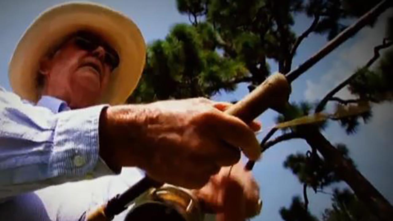 Retirement Savings Options: Alternatives to a 401(k)