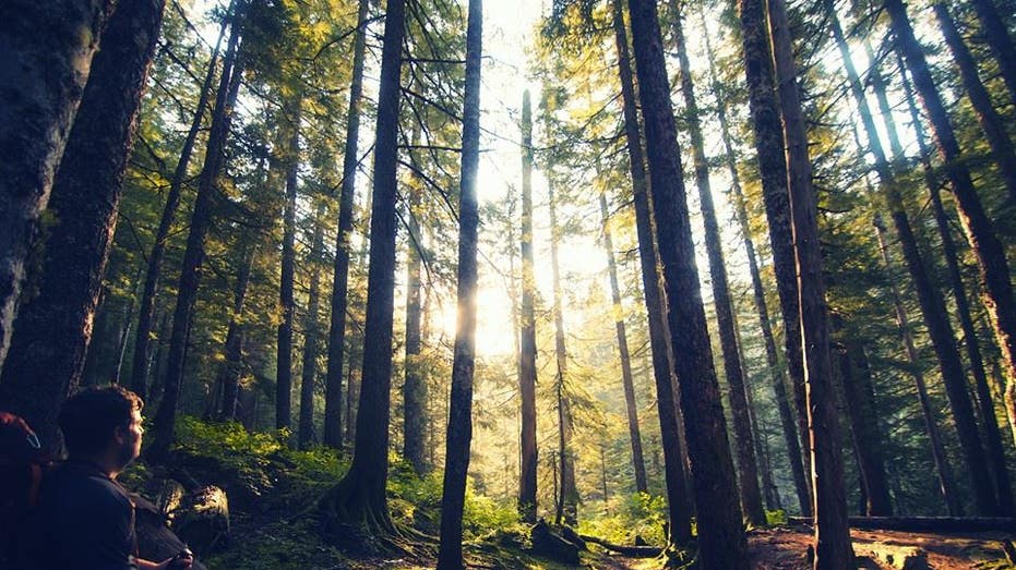 How a 30-Year-Old Achieved Financial Independence: Key Sacrifices Revealed